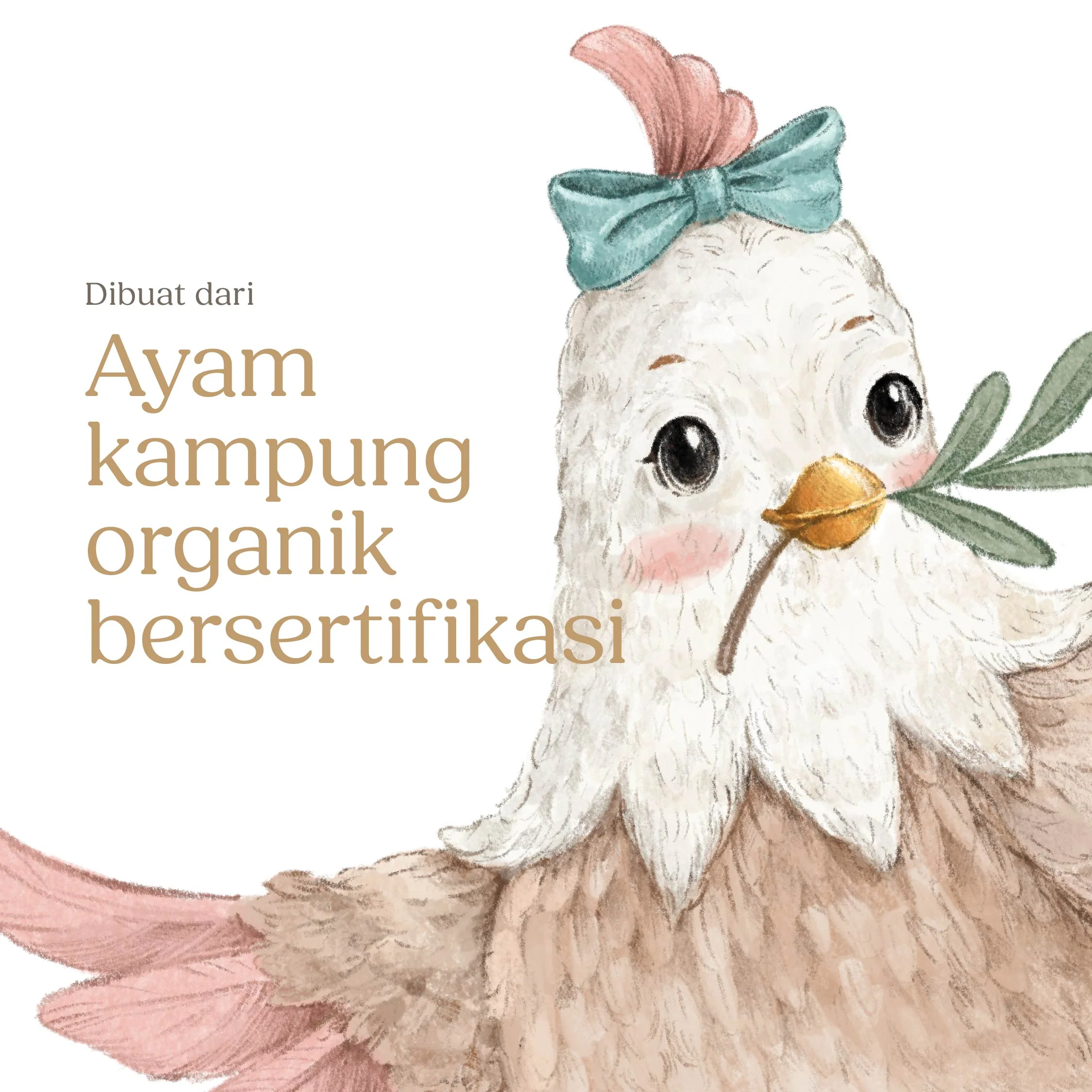Chicken Original (Kolagen) - Image 8